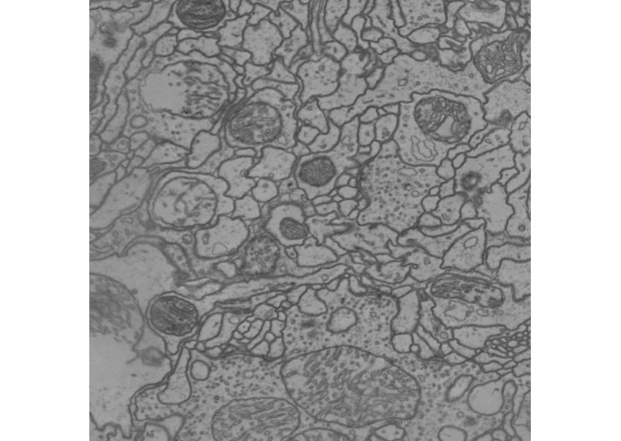 CSMIC – screenshot 1