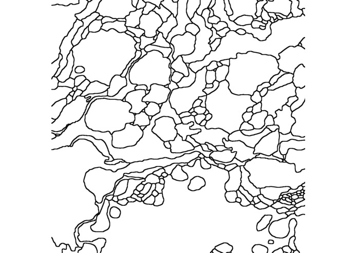 CSMIC – screenshot 2