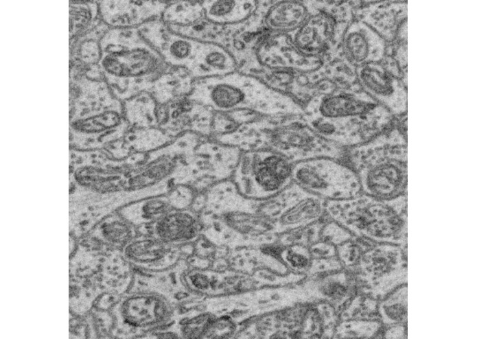 CSMIC – screenshot 3