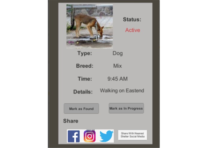 SaveStray – screenshot 1