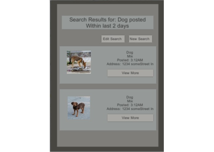 SaveStray – screenshot 2