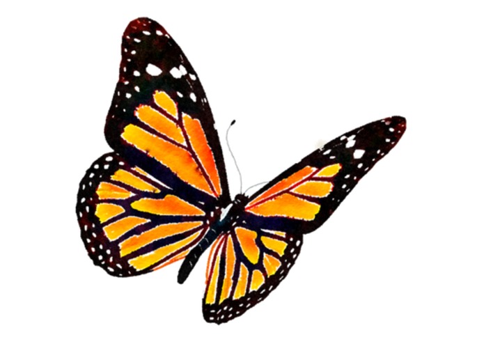 Millenial Monarch – screenshot 1