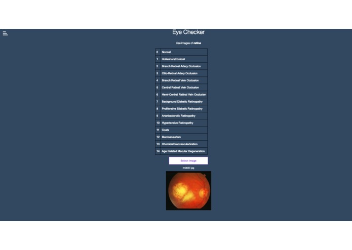 Disease Diagnoser – screenshot 2