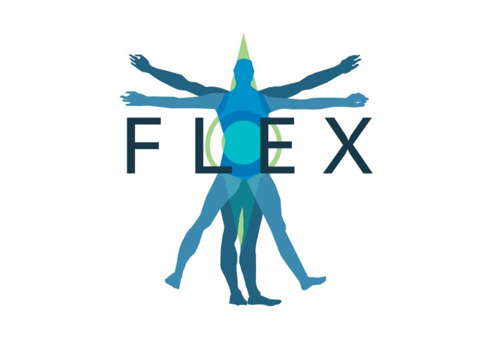 FLEX – screenshot 1