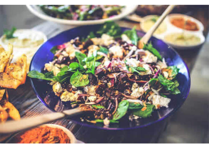 DinO – screenshot 5