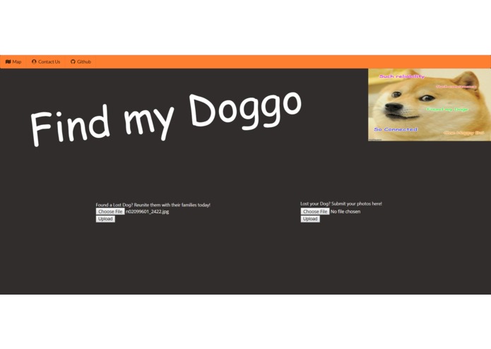 Find My Doggo – screenshot 1