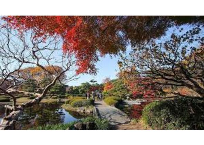 TrinderBlue – screenshot 4