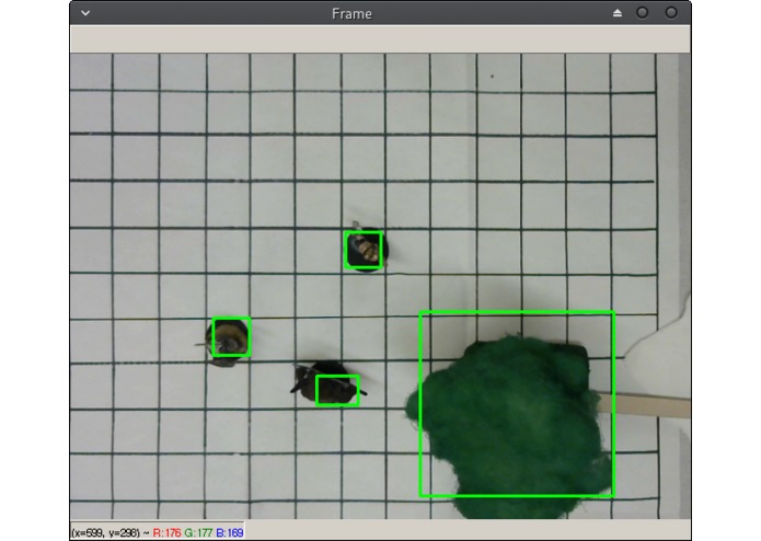 project-oblex – screenshot 1