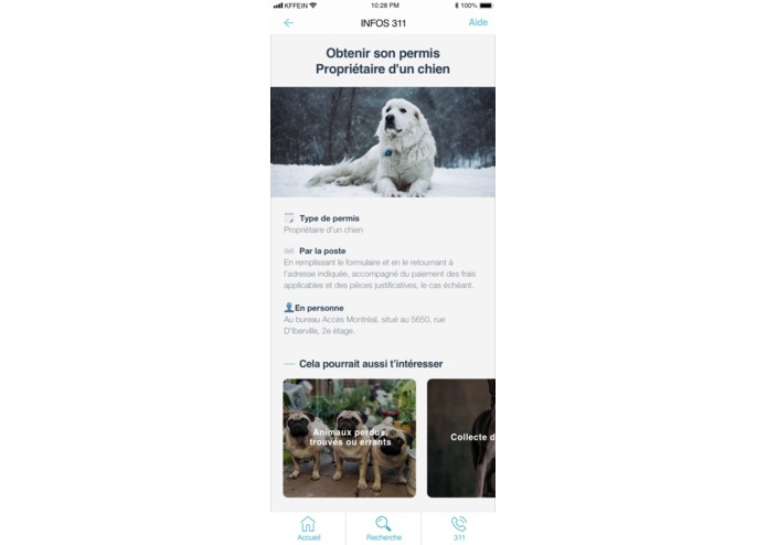 3 - INFOS 311 – screenshot 12