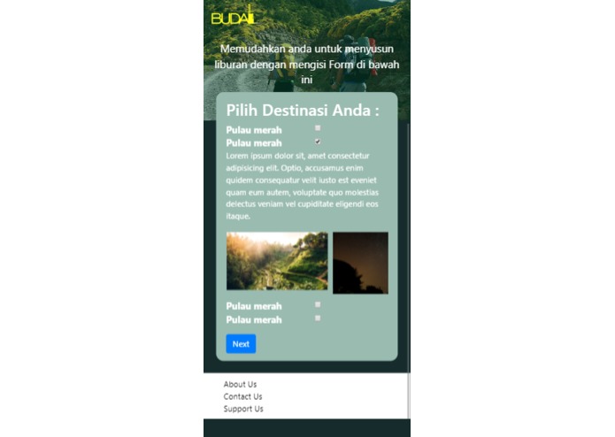 budal – screenshot 3