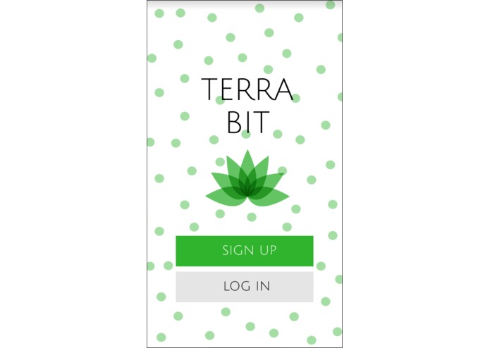 Terra Bit – screenshot 3