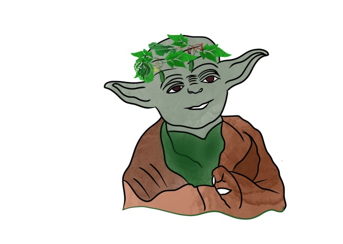 CropYoda – screenshot 2