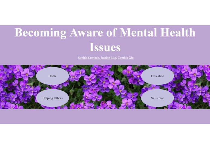 Mental Health Website – screenshot 3