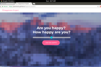 Happiness Project