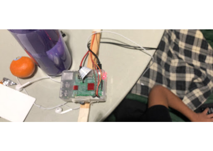 CaneCompanion – screenshot 2