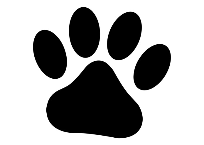 Pawsitive Impact – screenshot 1
