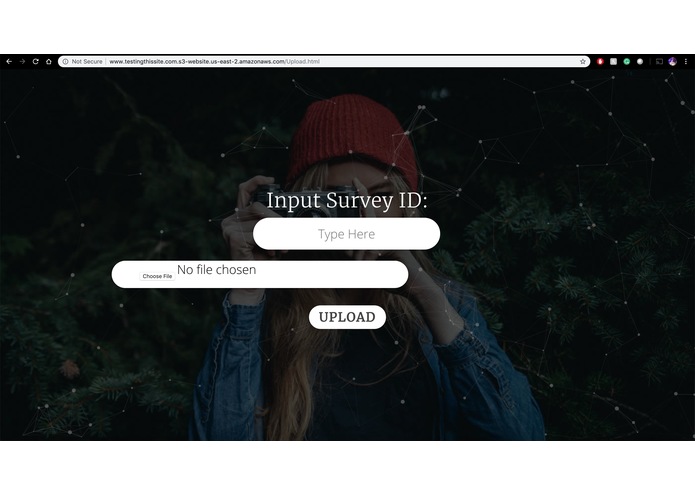 Paper CV  – screenshot 5
