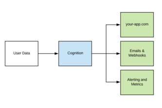 cognition