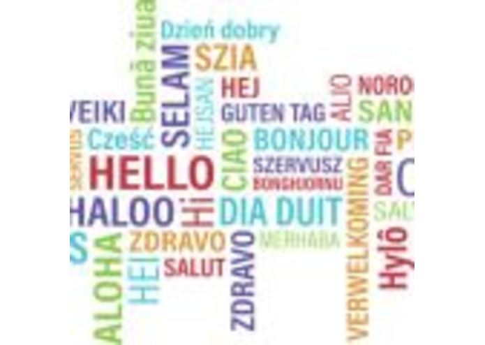 The Language App – screenshot 2