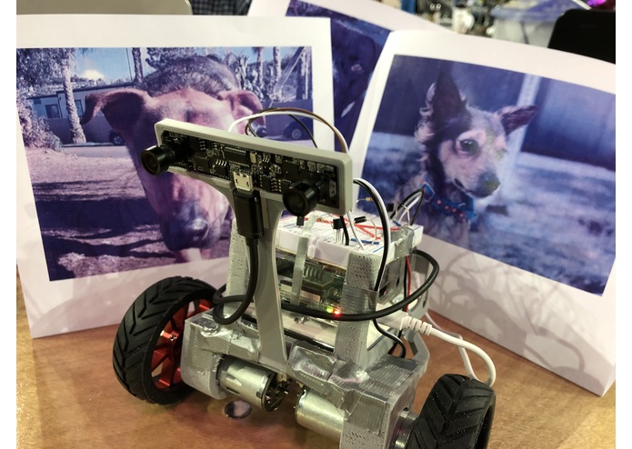 Sloane: Dog Finder – screenshot 1