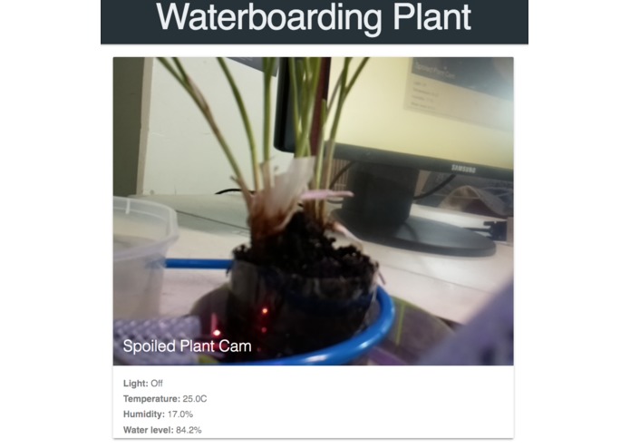 Greenhouse for spoiled plant. – screenshot 1