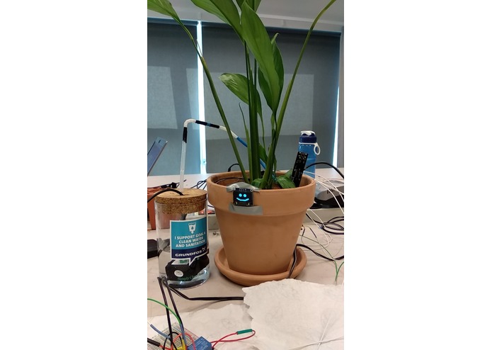 Shawn the Plant – screenshot 1