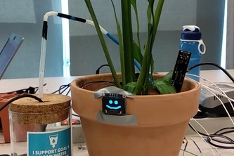 Shawn the Plant