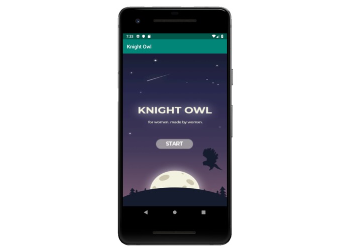 Knight Owl – screenshot 1