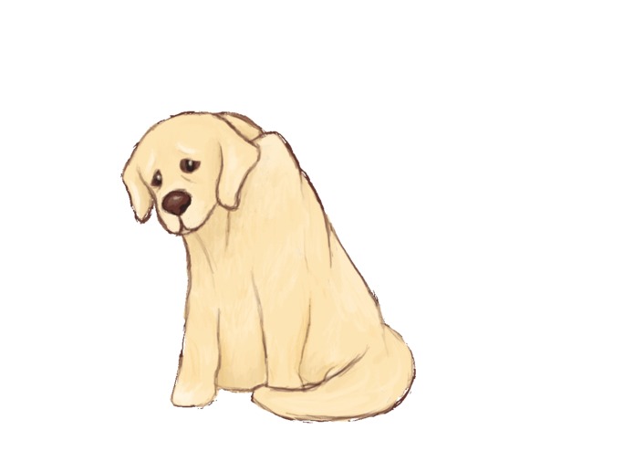WOOF! – screenshot 4