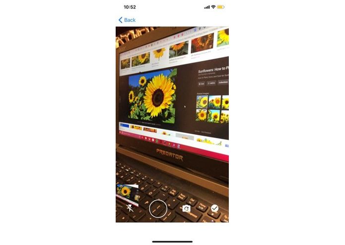 Sunflower – screenshot 8