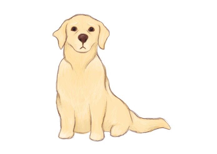 WOOF! – screenshot 3