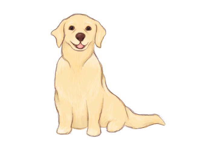 WOOF! – screenshot 2