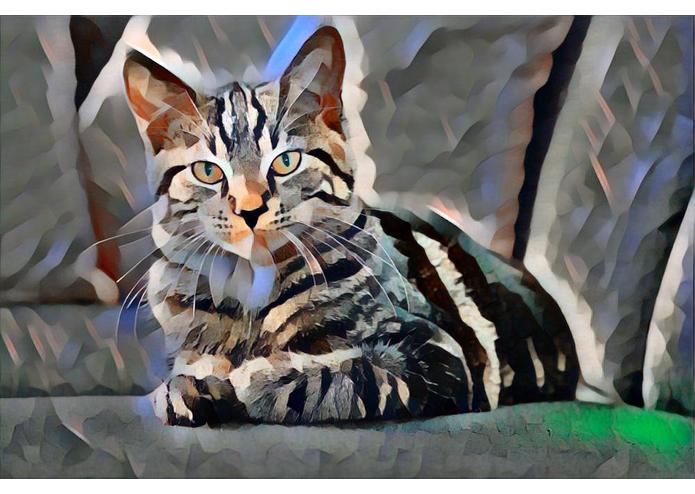 Art Filter – screenshot 2