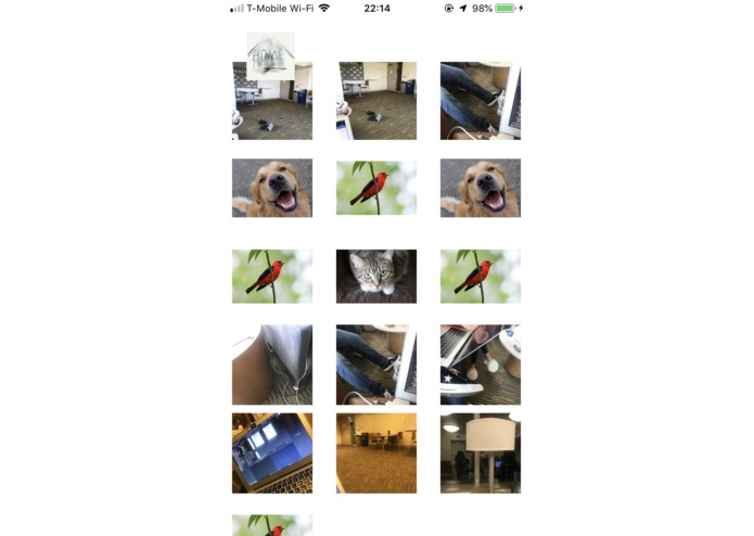 Photo Crush – screenshot 6