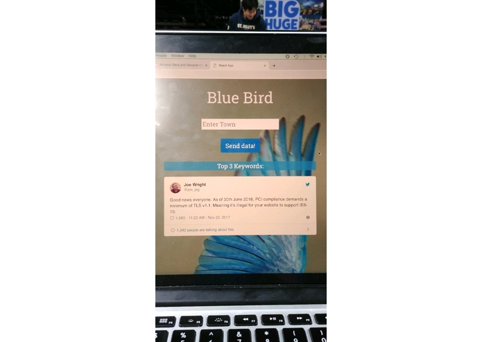 Blue Bird – screenshot 1