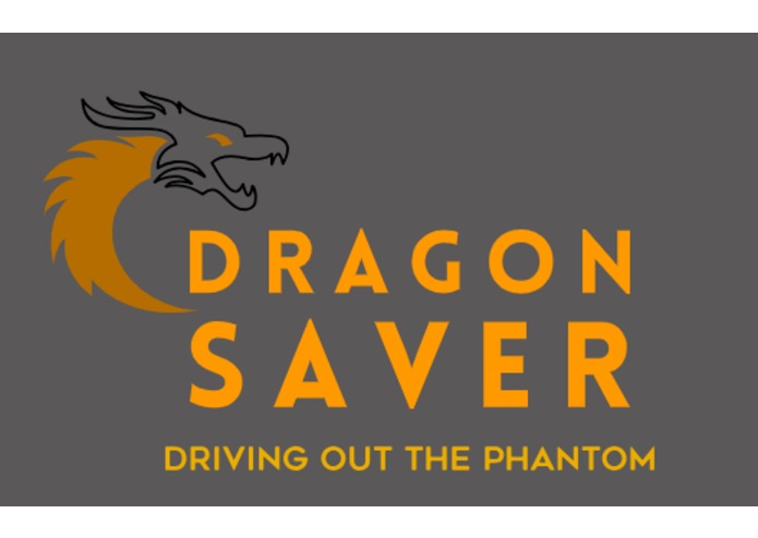 Dragon Saver – screenshot 1