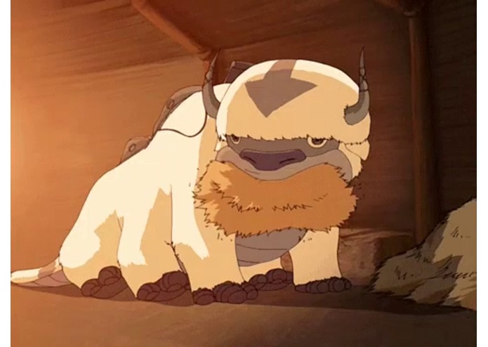 appa – screenshot 1