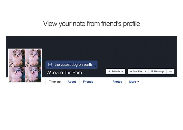 Facebook Friends Memo – screenshot 4