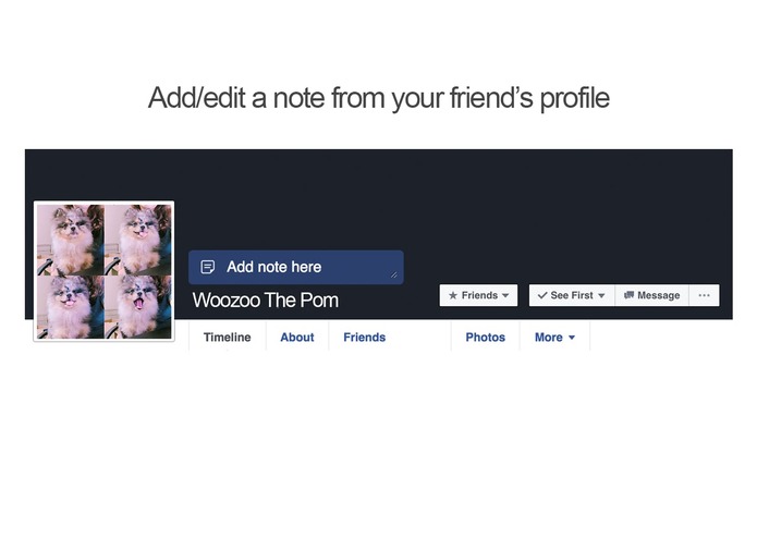 Facebook Friends Memo – screenshot 5