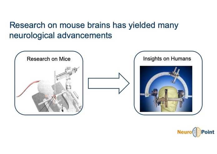 Team 13: NeuroPoint – screenshot 5