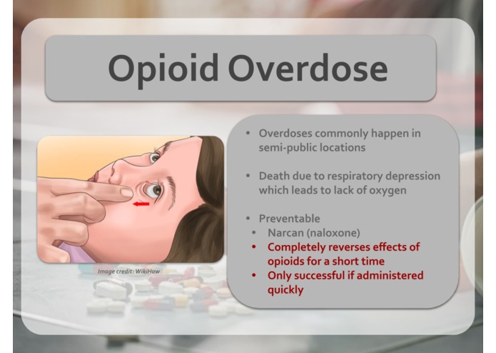 Wearable Opioid Overdose Detection System (WOODS) – screenshot 3