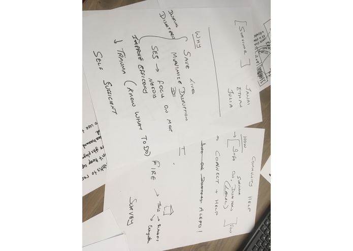 Disaster Master – screenshot 3