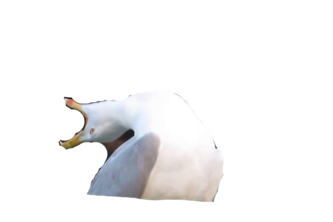 Get Over It UCSB AACF edition