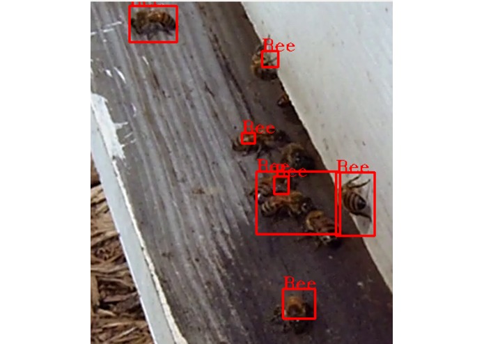 Bee Tracking – screenshot 1