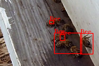 Bee Tracking