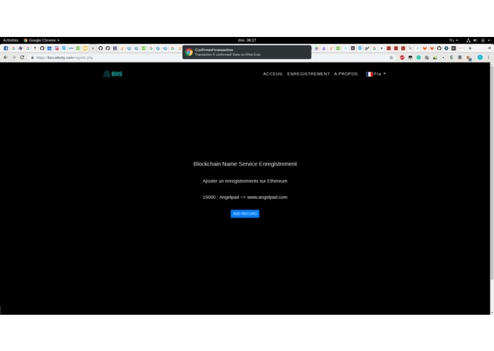 Blockchain Name Service – screenshot 5