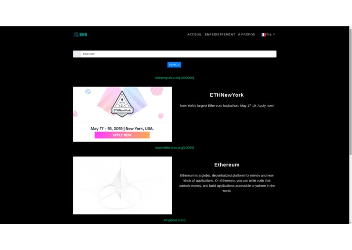 Blockchain Name Service – screenshot 2