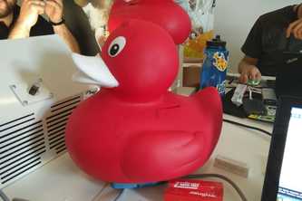 vectorduck