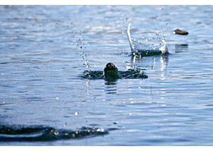 Bounded Atmospheric Entry – screenshot 1