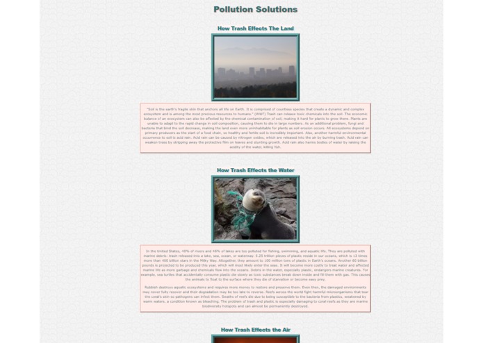 Solutions to the Rubbish Problem – screenshot 1